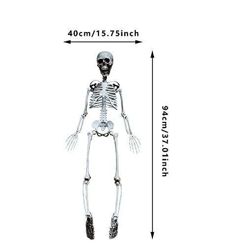 90cm Halloween Skeleton Full Body with Movable Joints for Halloween Decoration (90cm)