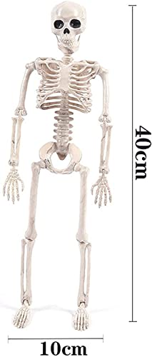 Halloween Skeletons, Full Body Posable Joints Skeletons for Decoration Bride Groom Halloween Party Favors Haunted House Accessories Indoor Outdoor Spooky Scene（2PCS）