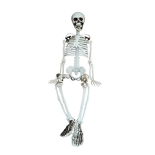 90cm Halloween Skeleton Full Body with Movable Joints for Halloween Decoration (90cm)