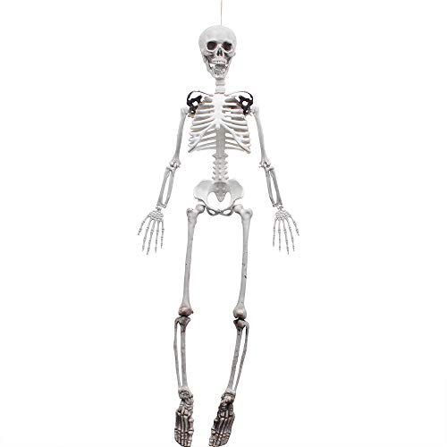 3ft/90cm Halloween Full Body Skeleton Props Realistic Human Bones with Movable Joints for Halloween Party Decoration