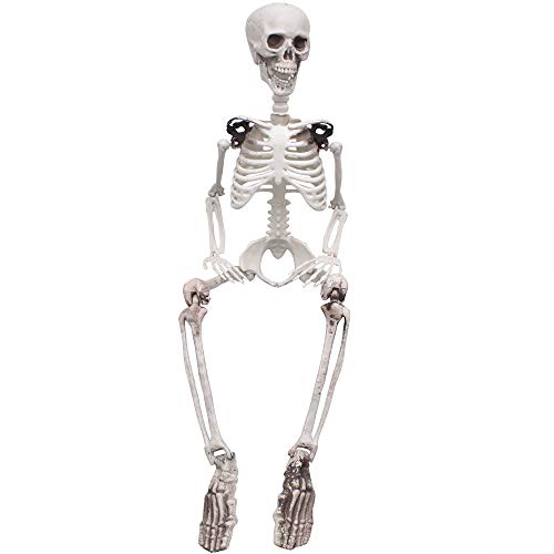 3ft/90cm Halloween Full Body Skeleton Props Realistic Human Bones with Movable Joints for Halloween Party Decoration