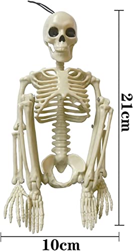 Halloween Skeletons, Full Body Posable Joints Skeletons for Decoration Bride Groom Halloween Party Favors Haunted House Accessories Indoor Outdoor Spooky Scene（2PCS）