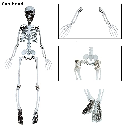 90cm Halloween Skeleton Full Body with Movable Joints for Halloween Decoration (90cm)