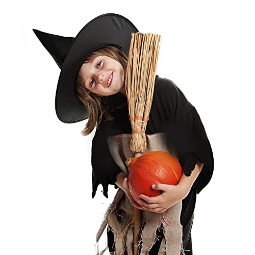 Tepoobea 12 Pack Halloween Witch Hat 32Pcs 3D Bats Decorations Halloween Costume Accessory Black Hanging Witch Hat for Halloween Party Decoration