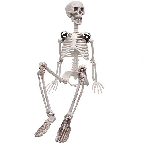 3ft/90cm Halloween Full Body Skeleton Props Realistic Human Bones with Movable Joints for Halloween Party Decoration