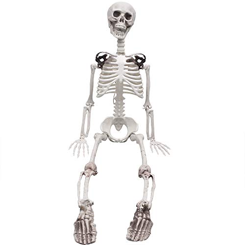 3ft/90cm Halloween Full Body Skeleton Props Realistic Human Bones with Movable Joints for Halloween Party Decoration