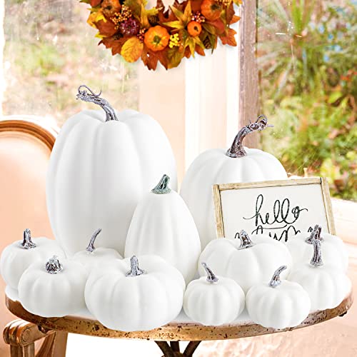 Ywlake 12 Pcs Assorted Sizes Artificial Pumpkins, Large Paintable White Fake Pumpkin Fall Decor for Autumn Harvest Thanksgiving Halloween Decoration Faux Pumpkins for Outdoor Decorating