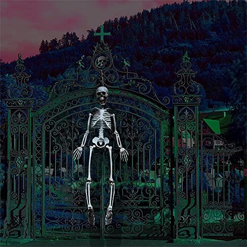 90cm Halloween Skeleton Full Body with Movable Joints for Halloween Decoration (90cm)