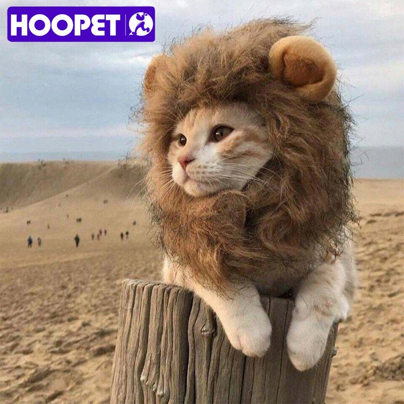 HOOPET Pet Halloween Costumes Retro High Retention Rates Cartoon Warm Hat Lei Feng Short Plush Cute Dog Pet Hat